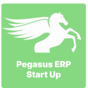 Pegasus ERP Start Up