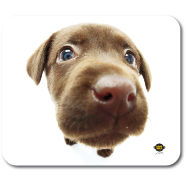 All-06917 Mousepad Chocolate Labrador