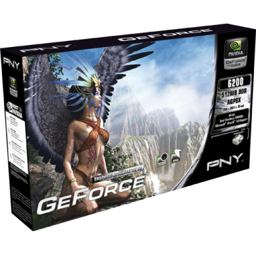 Pny Gf 6200 512Mb Ddr Agp8X Dvi Tvo