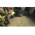 Counter Strike Source Xbox